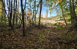 Cottage Road, Weare, NH 03281