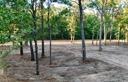 Bluebonnet Trail, Mount Vernon, TX 75457