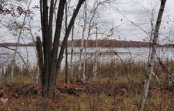 TBD* Snowshoe Trail, Staples, MN 56479