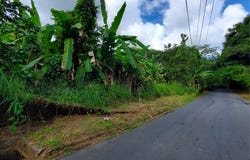 Florencio, Fajardo, PR 00738