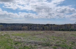 Ramey Road, Pittsfield, NY 13411
