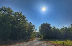 04 CR 125, Hamilton, AL 35552