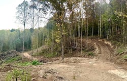 Ray Johnson Road, East Bernstadt, KY 40729