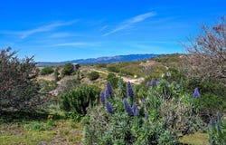 1282 Olive Ave, Fallbrook, CA 92028