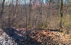 Alpine Terrace, Pierce Twp, OH 45157