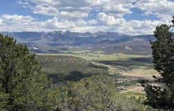 Pine Drive, Ridgway, CO 81432