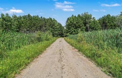 9638 8 Mile Road, Kaleva, MI 49645