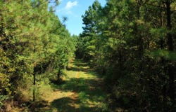 Tower Road, Franklin, GA 30240