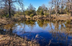 9.74-ac Boyd Rd, Red Rock, TX 78662