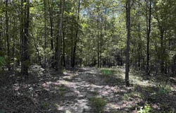 Tournament Dr., Mountain View, AR 72560