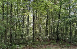 LT 6 Gem Creek Rd, Cullowhee, NC 28723