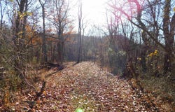 3525 BIG BRANCH Road, Riner, VA 24149