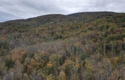 0 North Forks Road, Amherst, VA 24521