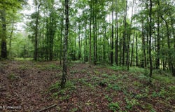 6936 Hillsboro-ludlow Road, Forest, MS 39074