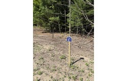Sadie Ln, Bear Lake, MI 49614