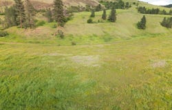 American Ridge Rd (Parcel 5), Kendrick, ID 83537
