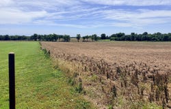 0002 Thorn Road, Jasper, MO 64755