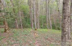 Ed Vanover Road, Creston, NC 28615