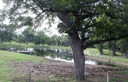 1000 Old Lytton Springs Rd, Lockhart, TX 78644