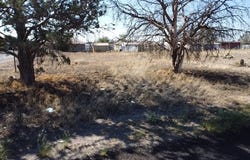 801 W Galveston St, Marfa, TX 79843