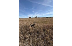 76 Internet lot: 158, Roberts, MT 59070