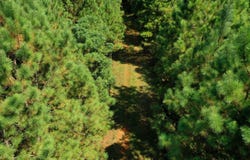 Tower Road, Franklin, GA 30240