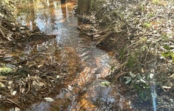 Hwy 201, Brundidge, AL 36010