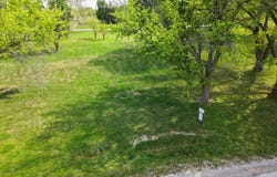 804 Washington Ave, Pacific Junction, IA 51561