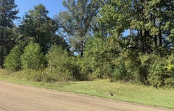 Owens Oak Drive lot: 31, Jackson, MS 39212