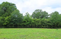 18155 Wellmann Rd, Washington, TX 77880