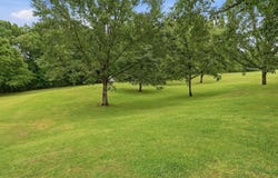 103 CHELSEA VILLAGE Ln, Chelsea, AL 35043
