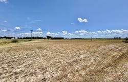 Highway 8, Cleveland, MS 38732