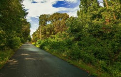 Saylor Rd, Lonoke, AR 72086