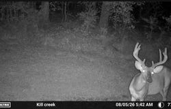 Harry Sones Rd, Carriere, MS 39426