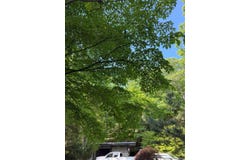 301 Roaring Brook Road, Chappaqua, NY 10514