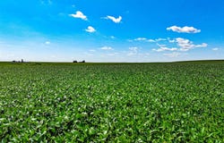 P Avenue, Maynard, IA 50655
