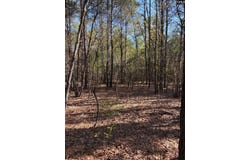 0 E Old Camden Hwy, Darlington, SC 29550