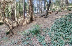 2662 Scenic, Crestline, CA 92325