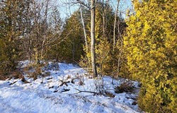 County Rd E, Baileys Harbor, WI 54202
