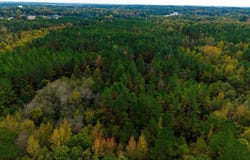 Hwy 12 W, Kosciusko, MS 39090