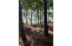 Thompson Road lot: 3, Greer, SC 29651