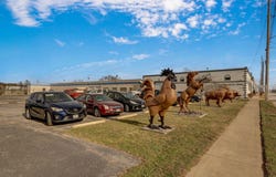 1325 E Trafficway Street, Springfield, MO 65802