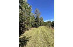 Carolina Highway, Olar, SC 29843