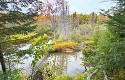 41483 W Betsy River Rd, Paradise, MI 49768