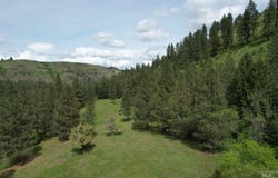 1017 Tiger Drive, Kendrick, ID 83537