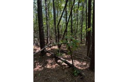 Lakewood Lake Ln, Huntingdon, TN 38344
