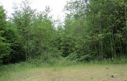 Gruber N Rd, Estacada, OR 97023