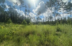 FM 1005, Jasper, TX 75951