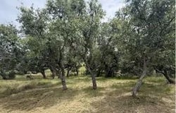4215 Sunset Cliff Rd, Burnet, TX 78611