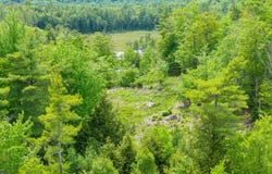 00 Pine Point Road, New Durham, NH 03855